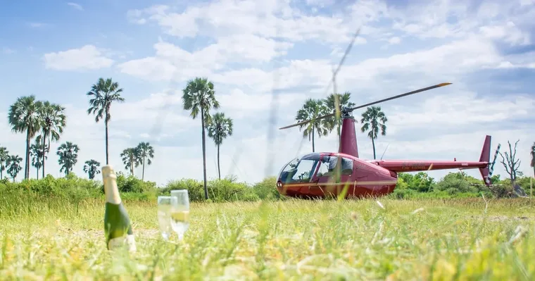 Maun: Okavango Delta Private Helicopter Flight with Transfer