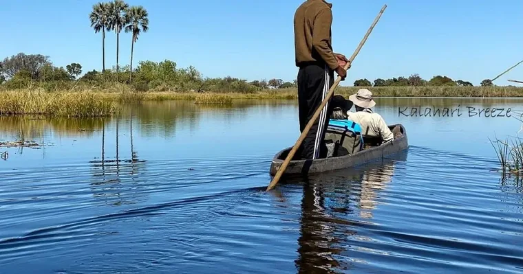 Okavango Delta: Full-Day Mokoro/Canoe Tour All-Inclusive
