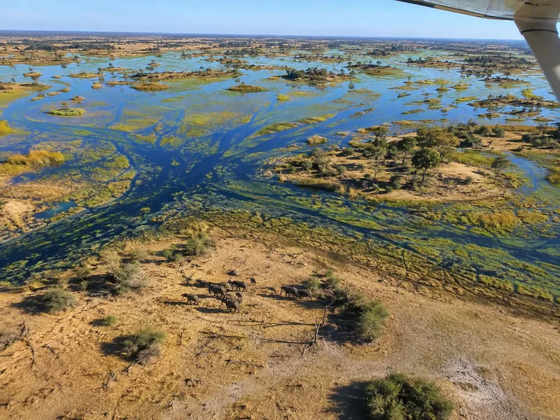 Scenic flight view of the Delta fan shape from the air