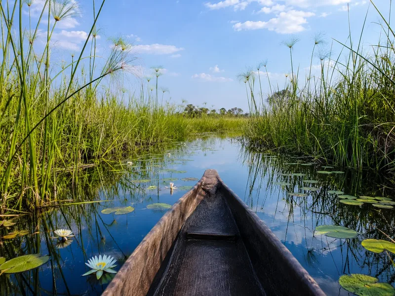Full-day mokoro canoe trip through eastern Delta channels