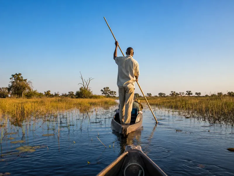 Poler propelling a one-tree mokoro canoe standing from the stern